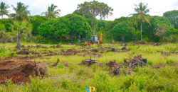 1/4 ACRE LAND FOR SALE AT BOABAB AREA