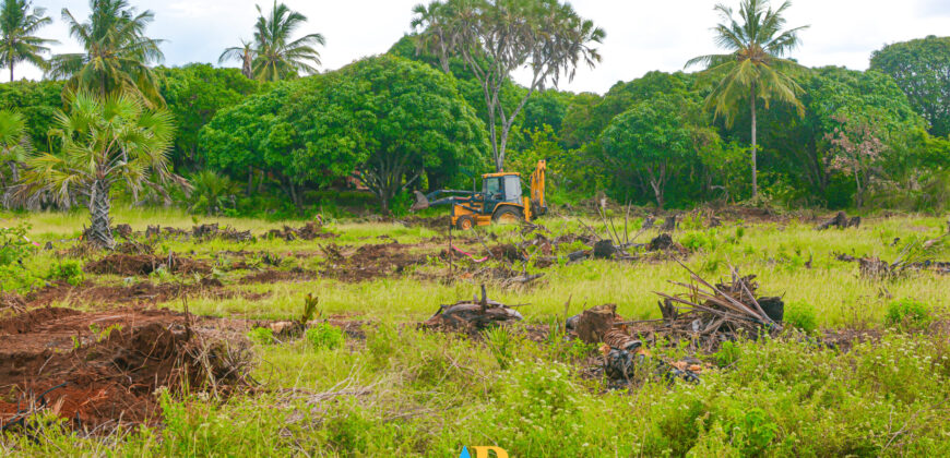 1/4 ACRE LAND FOR SALE AT BOABAB AREA