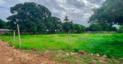 1/4 ACRE LAND FOR SALE IN DIANI