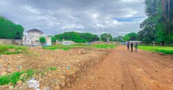 1/4 ACRE LAND FOR SALE IN DIANI